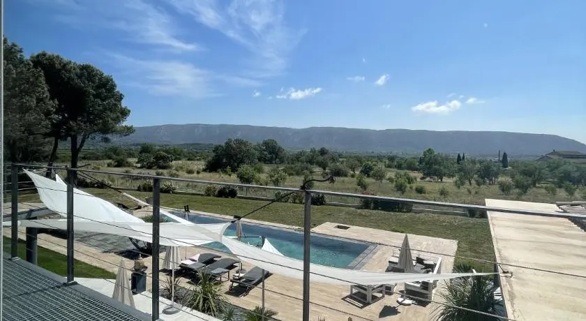 Les pins du Luberon - Image 1