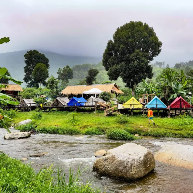 Vườn Rừng Campsite - Image 1