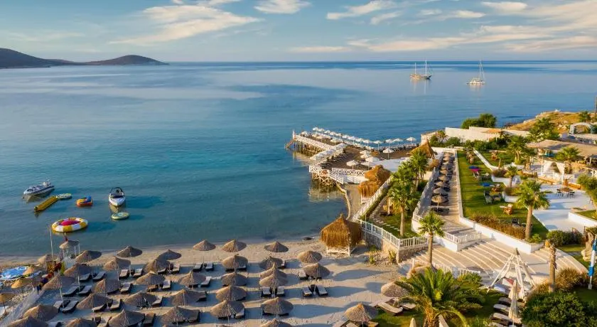 Design Plus Seya Beach Hotel - Image 1