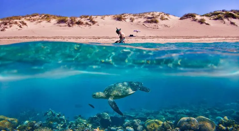 Tortuga Dafni Bay Villas Diver's Paradise by "elite" - Image 1