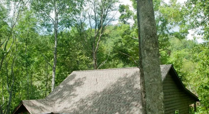 The Sassafras Breeze - Image 1