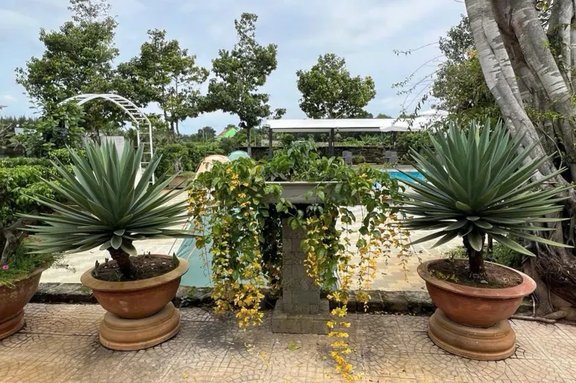 Resort Mộc Hồ - Image 1