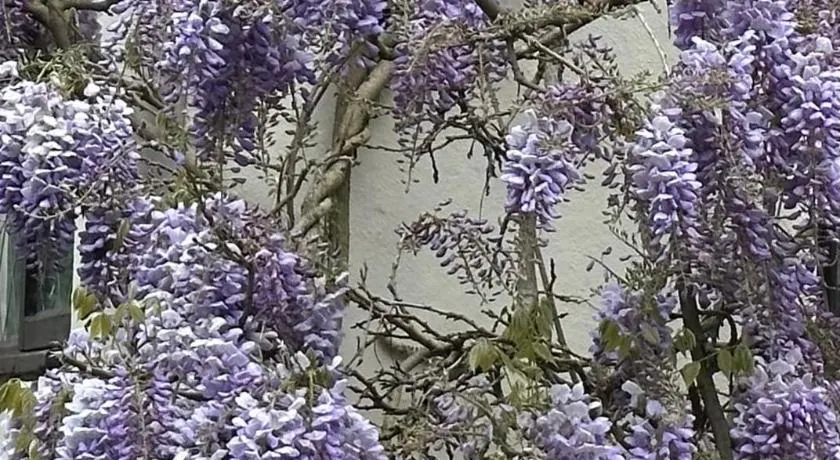 Manor Lodge Guesthouse - Image 1