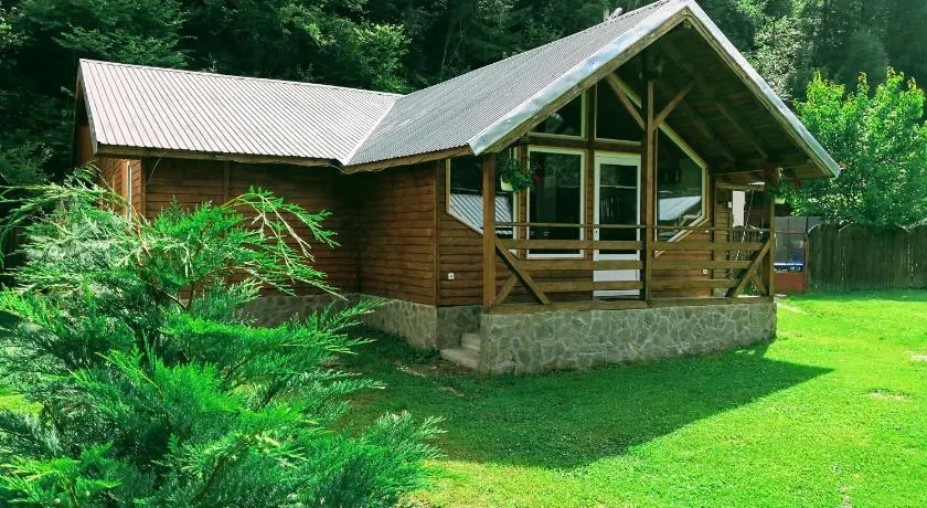 Casa de Vacanta Aurelia - Image 1
