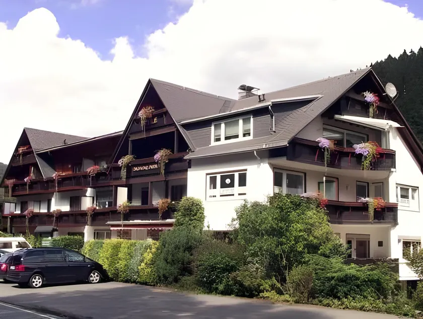 Sonnenhof-Willingen - Image 1