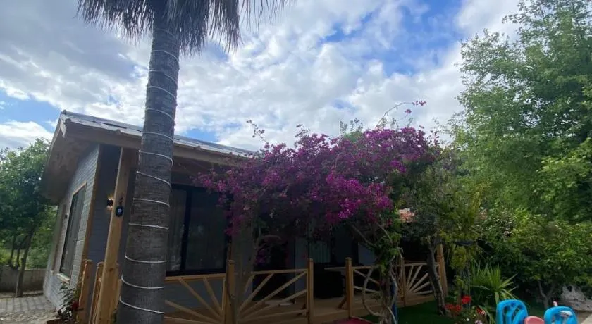 Black Cat Villa's - Image 1