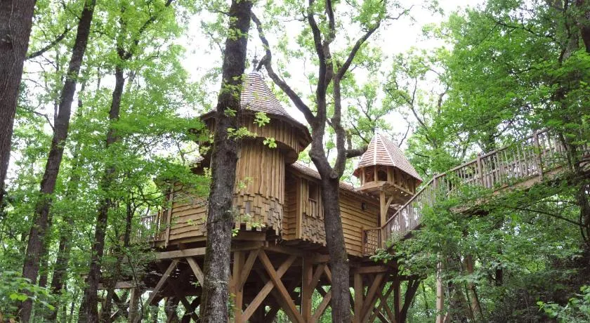 Châteaux dans les Arbres - Image 1