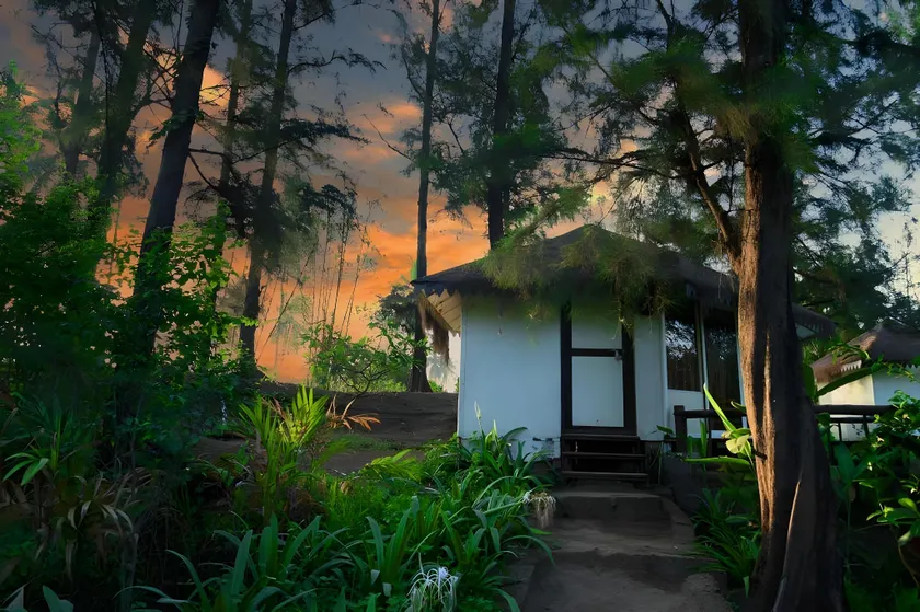 Exotica - The Beach Resort - Image 1