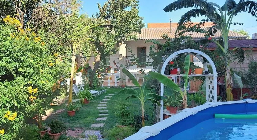 B&B Marino E Lily - Image 1