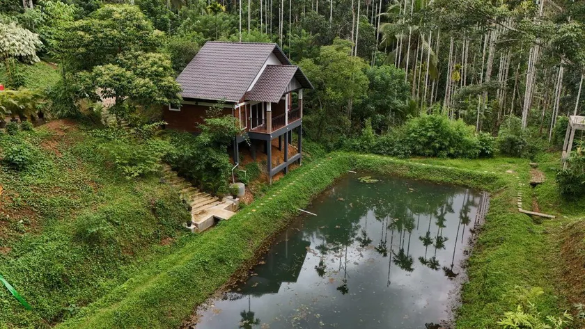 Casta Wild Resort - Image 1