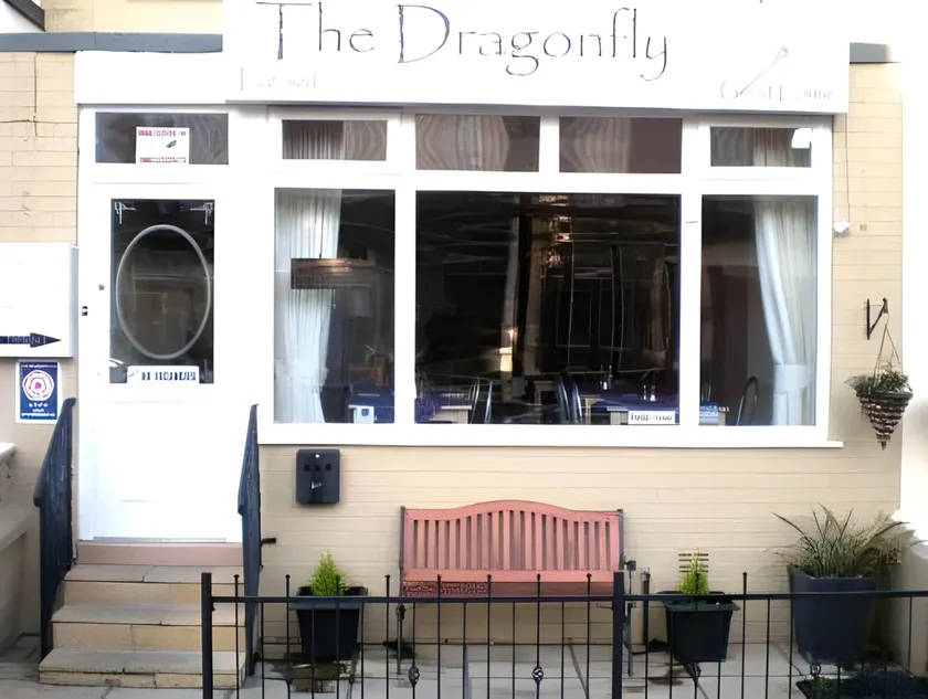 The Dragonfly - Image 1