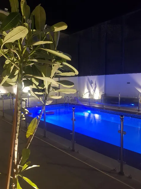 مورايا Murraya - Image 1