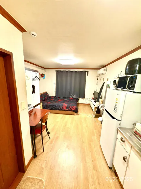 Spacious Studio Apt (Myeong-dong) - Image 1