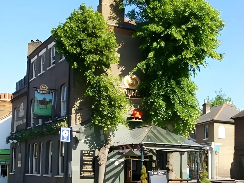 The Red Cow - Guest House - Image 1