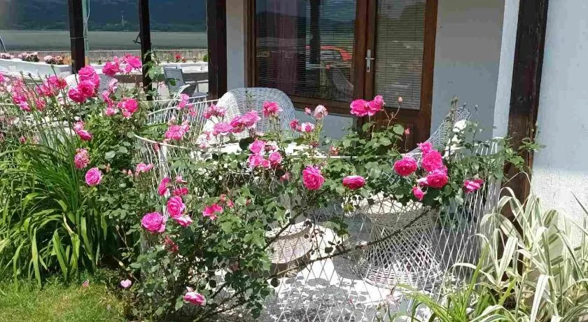 Apartmani sa pogledom na Dunav - Akademik - Image 1