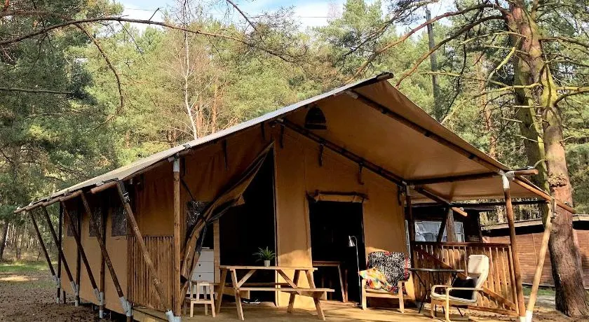 Camp Bursztynowy Las - Image 1