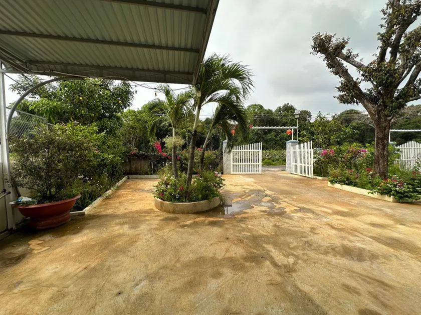 Ho Coc Apartments - Image 1