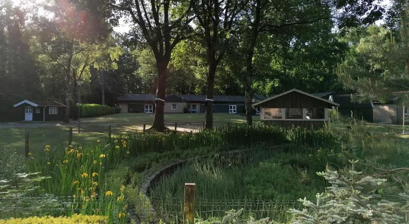 Waldjugendherberge Uelsen - Image 1
