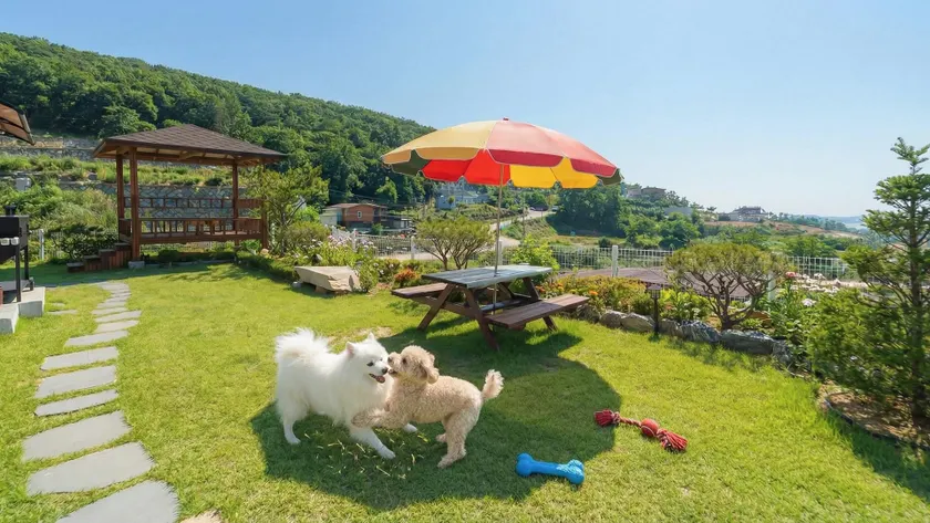 Plitvice Pension Ganghwado - Image 1