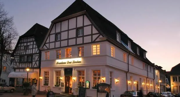Hotel Drei Linden - Image 1