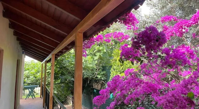 Ideal Cottage Holidays-Ιδανικές Εξοχικές Διακοπές - Image 1