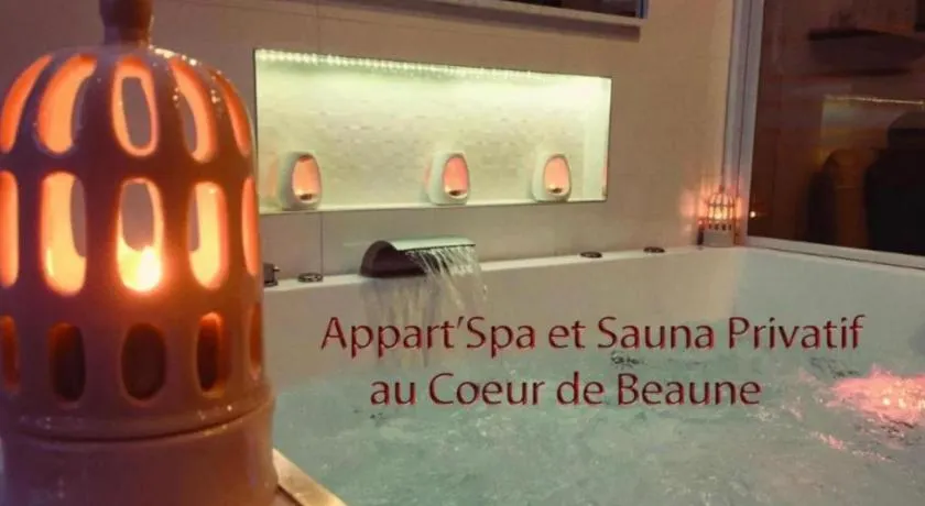 Appart' Spa et Sauna Privatif Au Cœur De Beaune - Image 1