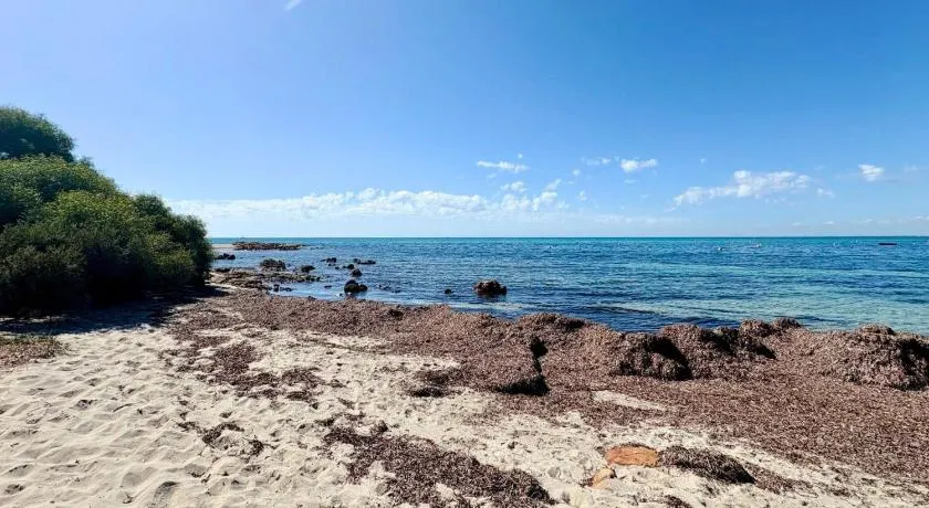 Coastal Haven on Ostia Geographe - Image 1
