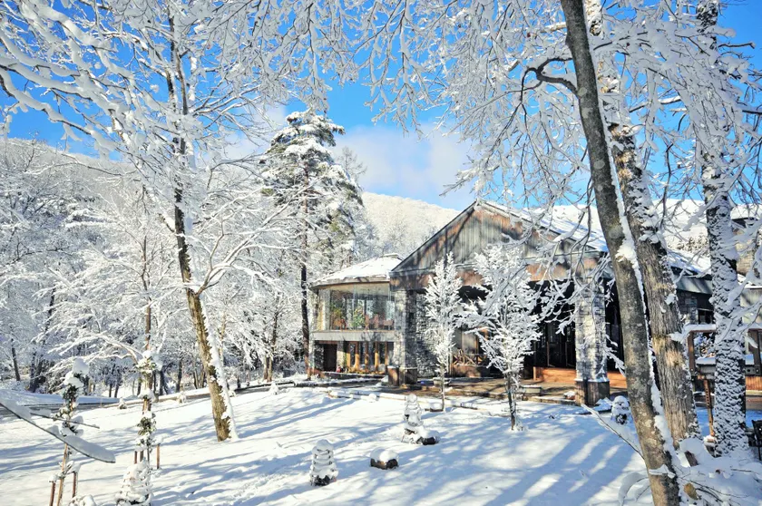 Hotel Sierra Resort Hakuba - Image 1