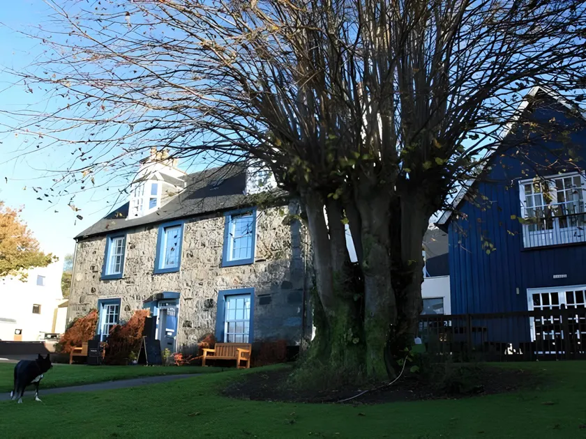 Lime Tree Hotel - Image 1