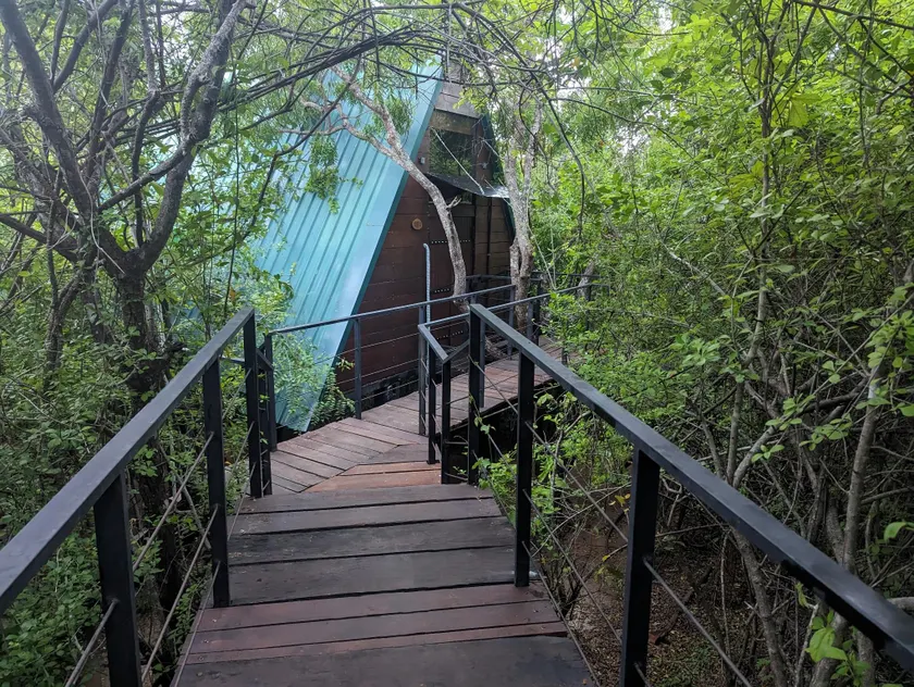 The Wild Yala - Image 1