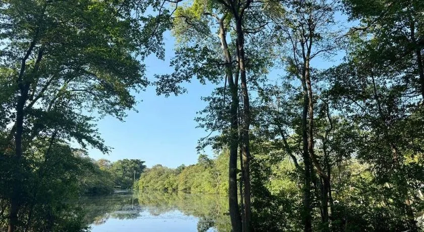 Lakefront GetawaY & Romantic NightS + BeacheS NeaR - Image 1
