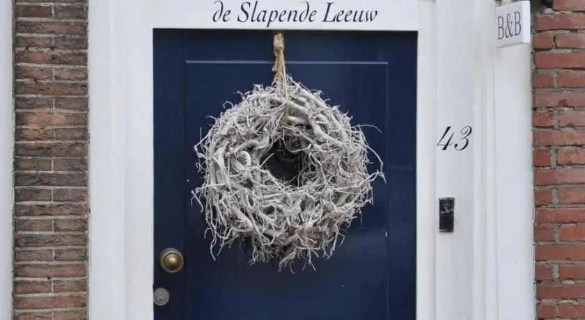 De Slapende Leeuw - Image 1