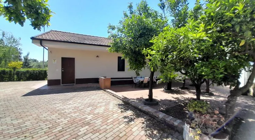 Serroni Alto - Image 1