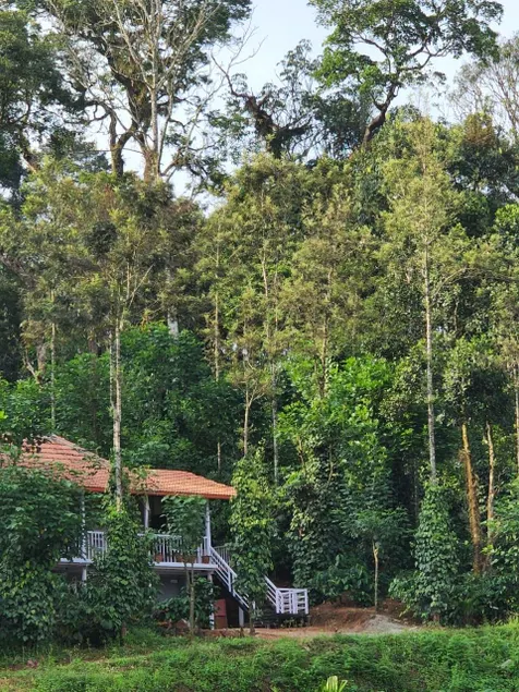 Green Turfs Farmstay- A cozy 2 bedroom cottage - Image 1