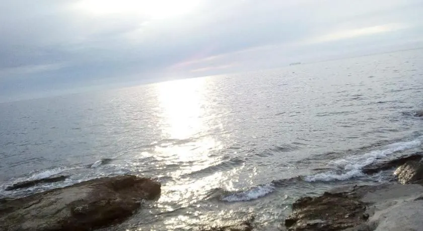 APP EMONA - Image 1