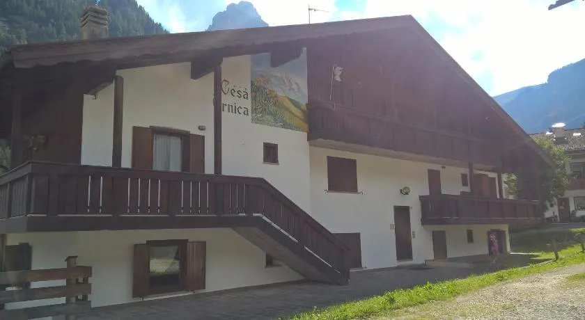 Arnica - Image 1