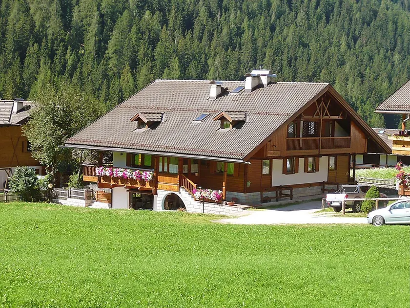 Cesa Galaldriel - Image 1