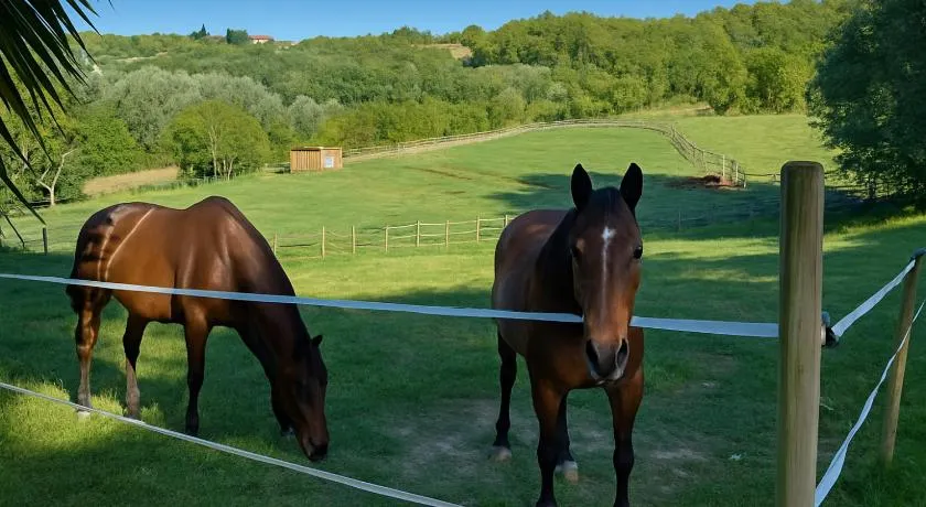 B&B Freedoms Reins Farm - Image 1