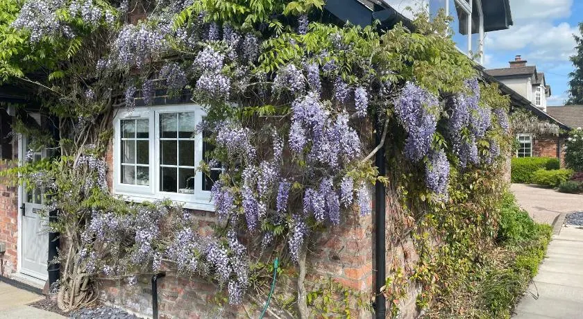 Curlew Cottage - Image 1