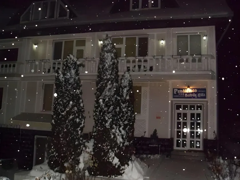 Pensiunea Beverly Hills - Image 1