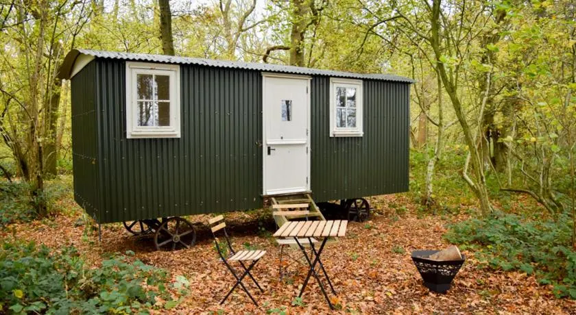 Shepherd Hut in the woods - Image 1