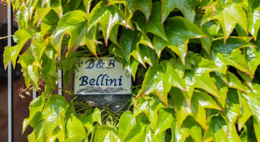 B&B Bellini - Image 1