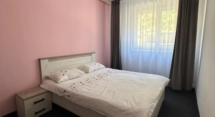 Apartament Pruneanu Central - Image 1