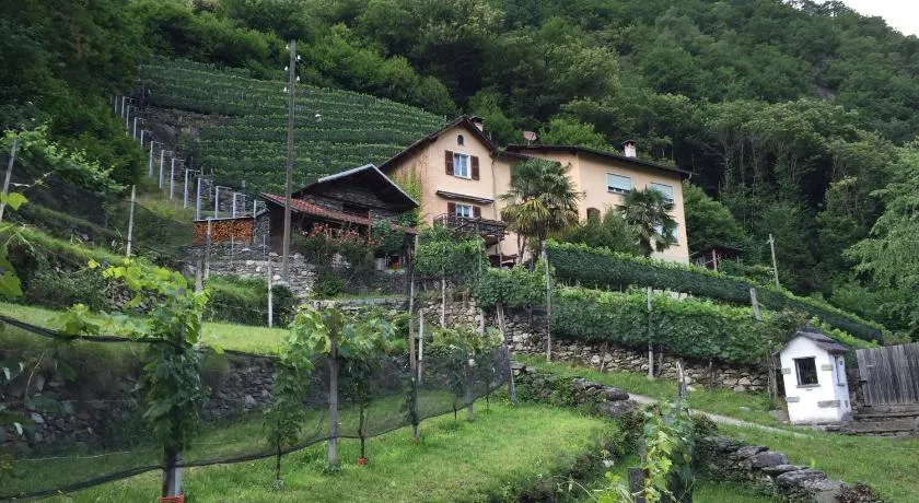 Casa immersa nel vigneto - Image 1