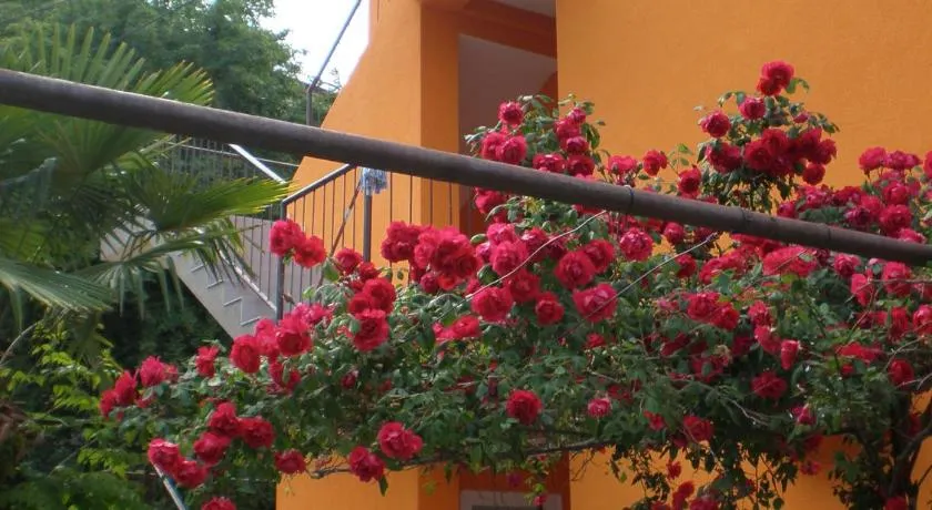SAN MARKO 2 - Image 1
