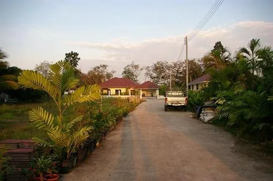 Little Paradise - Image 1