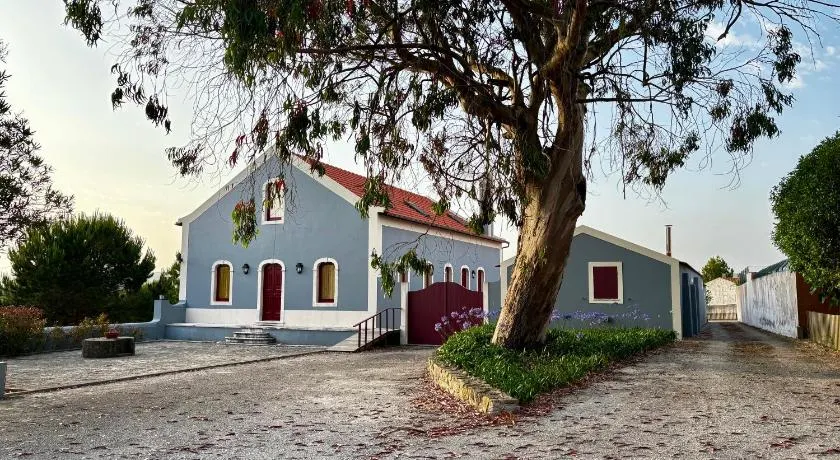Quinta das Soizas - São Martinho - Image 1