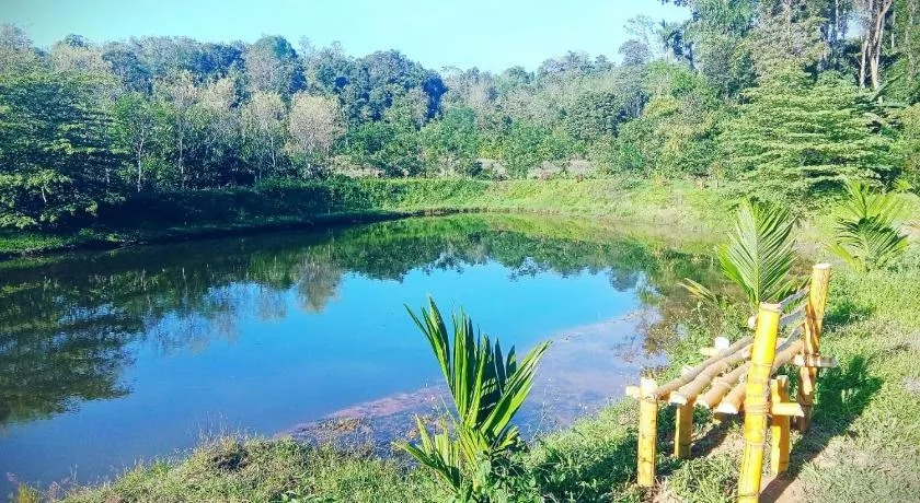Wetland Homestay Coorg - Image 1