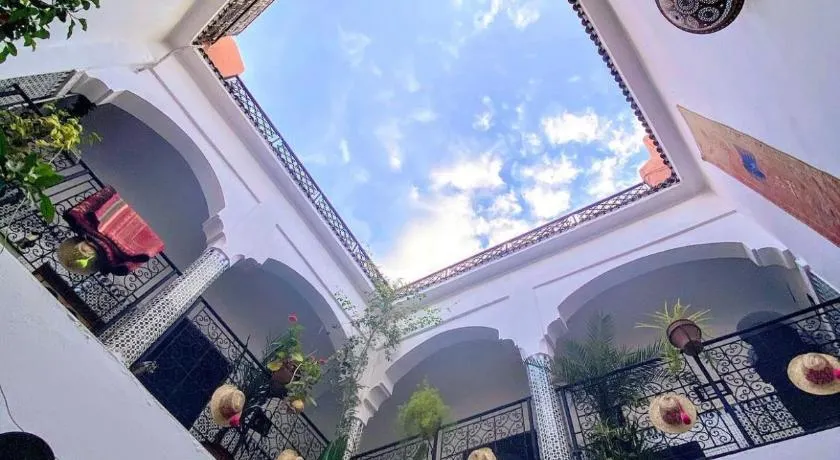 Riad Sijane - Image 1