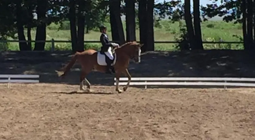 Sassi Talu Horsefarm - Image 1